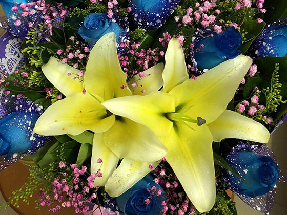 正定县加盟仿真花|修剪树木